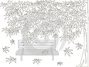 Maple tree, bench, falling maple leaves sketch