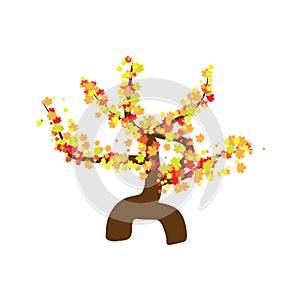 Maple tree isolated illustration