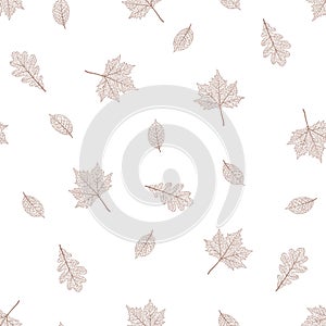 Maple tree leaf brown texture. Seamless vector pattern. Autumn season theme background. Fall graphic illustration