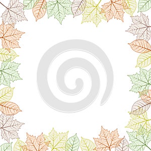 Maple tree leaf frame. Vector illustration. Autumn colors graphic card template square boarder