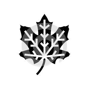 maple tree leaf glyph icon vector illustration