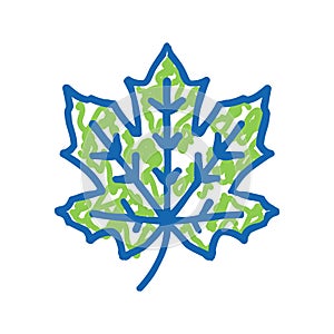 maple tree leaf icon doodle illustration