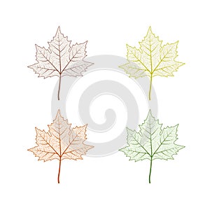Maple tree leaf set. Autumn leaves isolated vector illustration on white background. Fall decoration clip art