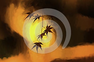 maple tree leaves in back light