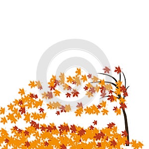 Maple tree in the wind, autumn. Fallen red and yellow leaves. illustration
