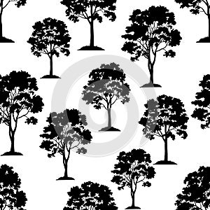 Maple Trees Seamless