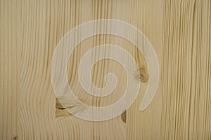 Maple wood grain texture