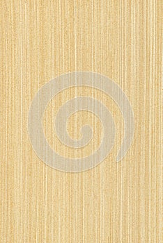 Árbol de arce (textura de madera) 