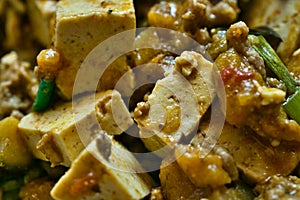 Mapo Doufu also known as Mapu Tofu, a spicy Asian dish made from minced meat and tofu cubes with spring onions and lots of chili, photo