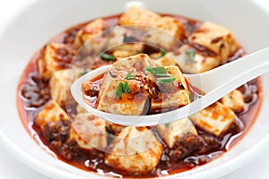 Mapo tofu, sichuan style photo