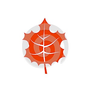 Mapple leaf leaf logo icon