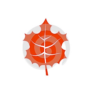 Mapple leaf leaf logo icon photo