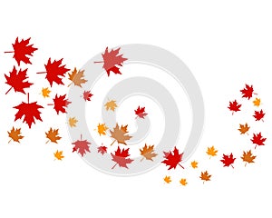 Mapple leaves logo and symbol vector