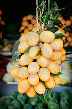 Maprang fruit
