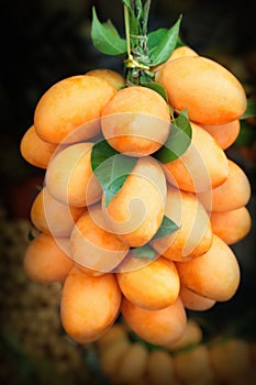 Maprang fruit