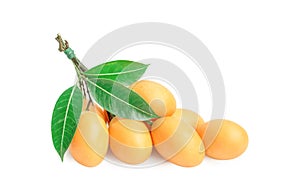 Maprang fruit , marian plum, or plum mango isolated on white background