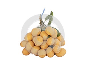 Maprang or plum mangos tied in bunches on white background