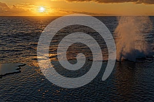 Mapu`a `a Vaea Blowholes Tonga, Tongatapu Island