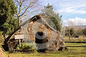 Mapuche hut photo