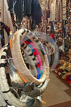 Mapuche musical instrument