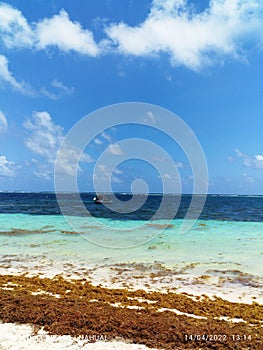 Mar Caribe photo