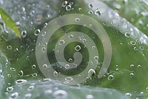 concept Save the Drop of water Ghoom Darjeeling West Bengal