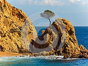 Mar Menuda beach in Tossa de Mar, Catalonia, Spain