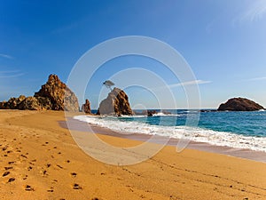 Mar Menuda beach in Tossa de Mar, Catalonia, Spain