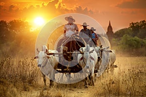 10 Mar 2016 Myanmar Mandalay Bagan The tradition cows cart with