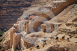 Mar Saba monastery