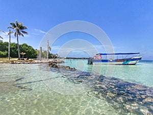 Mar transparente en la isla de tintipan. En el Caribe colombiano. Sucre, Colombia. photo