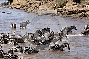 Mara River Crossing