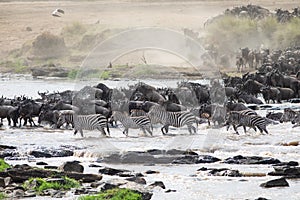 Mara River Crossing