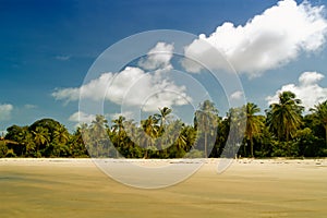 Maracaju's beach,Natal