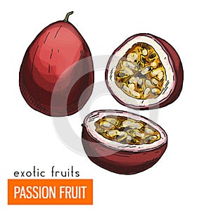 Maracuja. Color vector illustration.