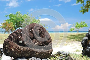 A ritual stone near Marae Taputapuatea. Raiatea. Society Islands. French Polynesia photo