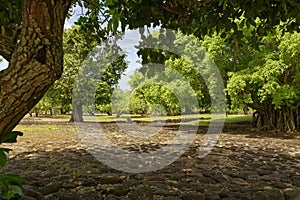 Marae of Taputapuatea in Raiatea