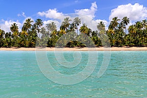 Maragogi beach horizon at Alagoas, Brazil