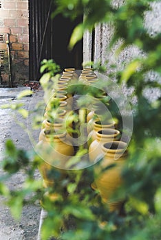 Ceramic pots on the ground between the leaves of a plant. Maragogipinho, Bahia, Brazil photo