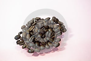 Maragogype beans on a pink background