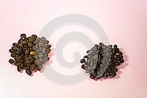 Maragogype beans on a pink background