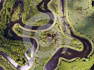 Marais de Larchant natural reserve, Larchant