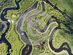 Marais de Larchant natural reserve, Larchant, Fontainebleau, Seine-et-Marne, Ile-de-france, France