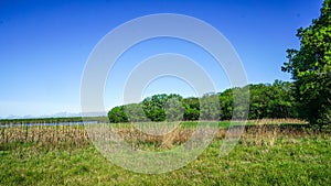 Marais des Cygnes National Wildlife Refuge grasses and lake