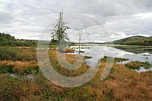 ÃÂ« Marais du Nord ÃÂ» marshes photo