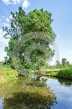 Marais Poitevin regional nature park