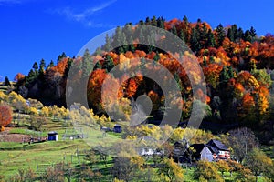 Maramures landscape