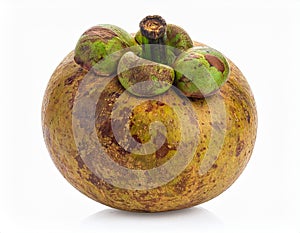 A marang fruit, with a white background Generative Ai