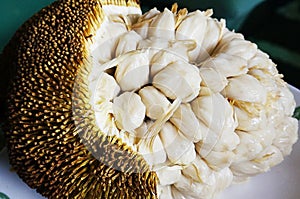 Marang or johey oak fruit