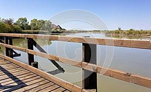 Marano Lagoon Nature Reserve photo